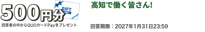 回答者の中からQUOカードPayをプレゼントするアンケート